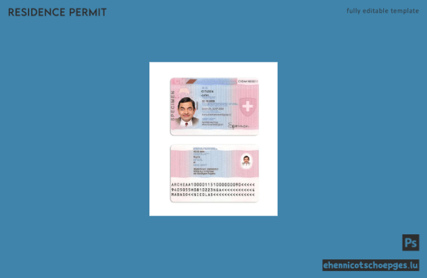Beispiel für eine Schweizer Aufenthaltserlaubnis
